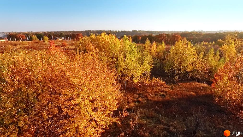 Котеджний комплекс КМ Панорама у осінньому пейзажі з золотистим листям. Навколо комплексу - мальовнича природа та зелені насадження.