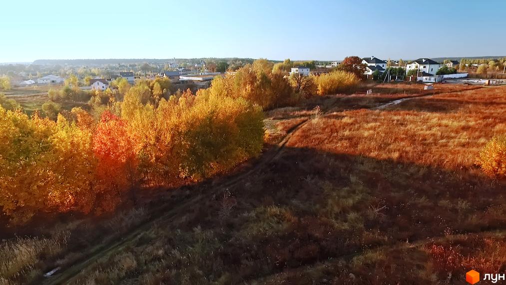 Котеджне містечко Панорама: мальовничий краєвид з осінніми деревами та житловими будинками. Територія комплексу з травою та стежками.