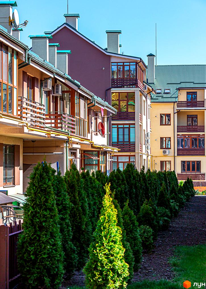 Житловий комплекс ЖК Бородино: фасади будівель з численними вікнами та балконами, зелені туї вздовж паркану. Вид на новобудову.