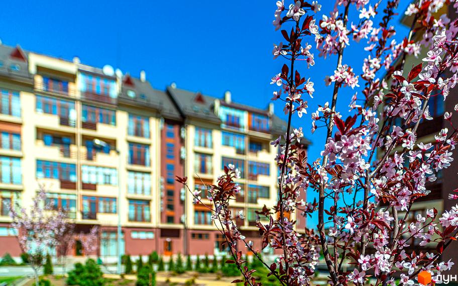 Житловий комплекс Бородино навесні. Фасад будинку світло-бежевого кольору з коричневими елементами та блакитними вікнами. Поруч цвіте дерево з рожевими квітами.