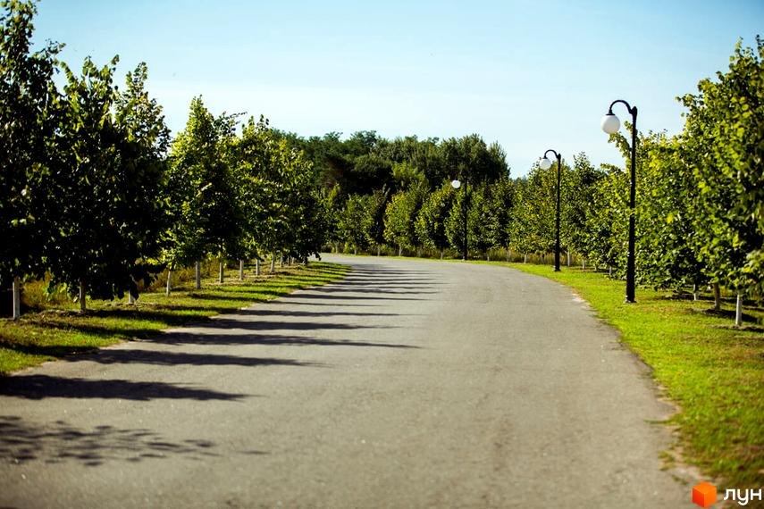 Асфальтована дорога в Містечко котеджів КМ Бобриця-Парк, обабіч якої висаджені дерева. На території є вуличні ліхтарі та зелені газони.