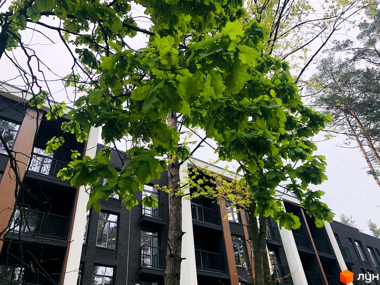 Зовнішній вигляд житлового комплексу Forest Park з фасадами темної цегли та дерев'яними елементами. Навколо будівлі зелені дерева та гілки.