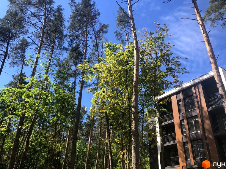 Житловий комплекс Forest Park: сучасна новобудова з фасадом з дерев'яних панелей та балконами, оточена високими соснами та зеленню.