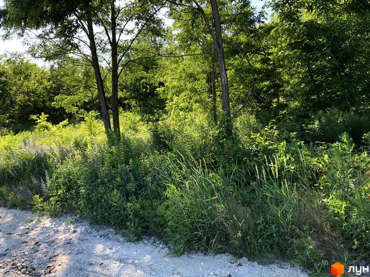 Котеджне містечко КМ Shalet Grail оточене зеленню та деревами, з дорогою з гравію попереду. Прибудинкова територія вкрита густою рослинністю та травою.