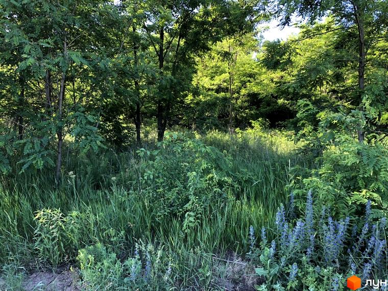 Природний ландшафт біля Містечко котеджів Шалє Грааль, дерева та зелень навколо будинку створюють затишну атмосферу.