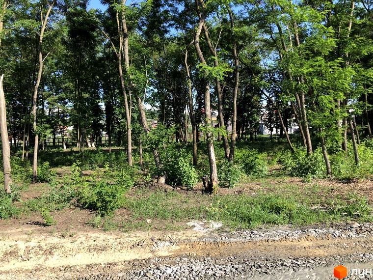 Зелена територія котеджного містечка КМ Шалє Грааль з деревами та травою. На передньому плані видно гравійну дорогу.