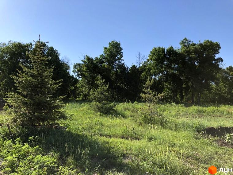 Зелена галявина з деревами на тлі блакитного неба. Котеджне містечко Шалє Грааль пропонує комфортне життя на природі.