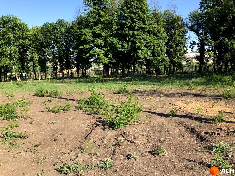 Зелена галявина перед будинками КМ Шалє Грааль, дерева та блакитне небо. Ідеальне місце для відпочинку та прогулянок.