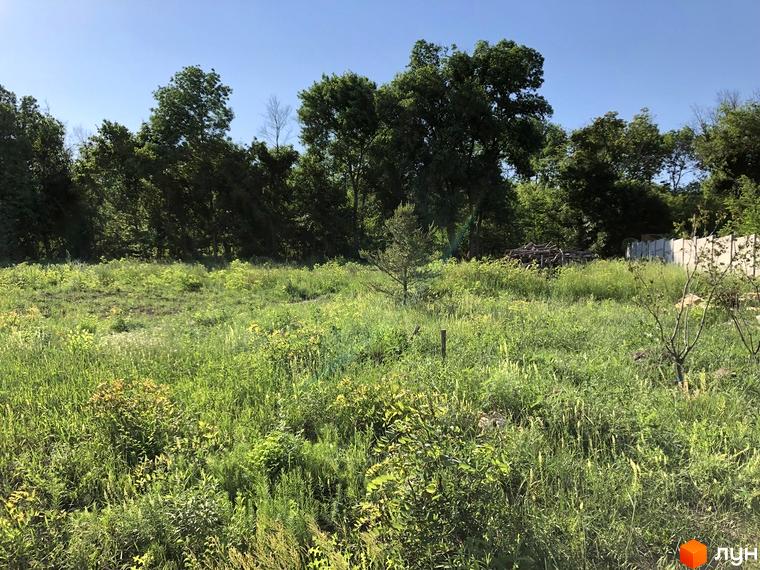 Зелена галявина перед лісом у Котеджне містечко Шалє Грааль. Навколо багато зелені та дерев.