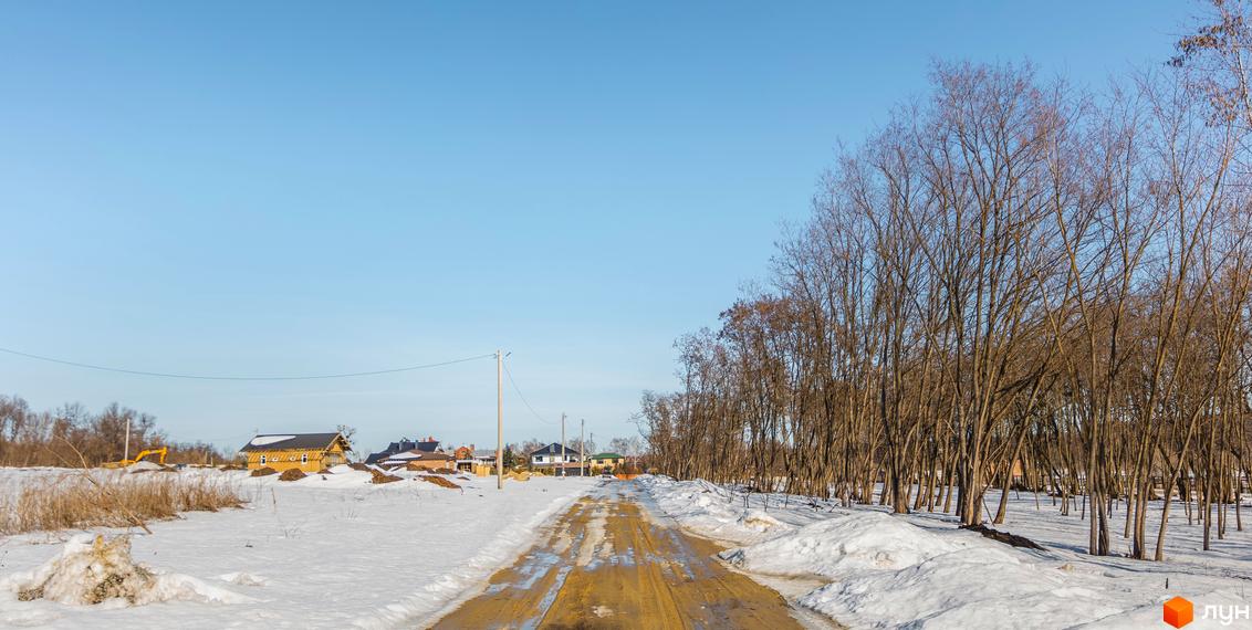 Зимовий пейзаж з дорогою, що веде до будинків. Навколо сніг та дерева. На задньому плані видно будівництво житлового комплексу.