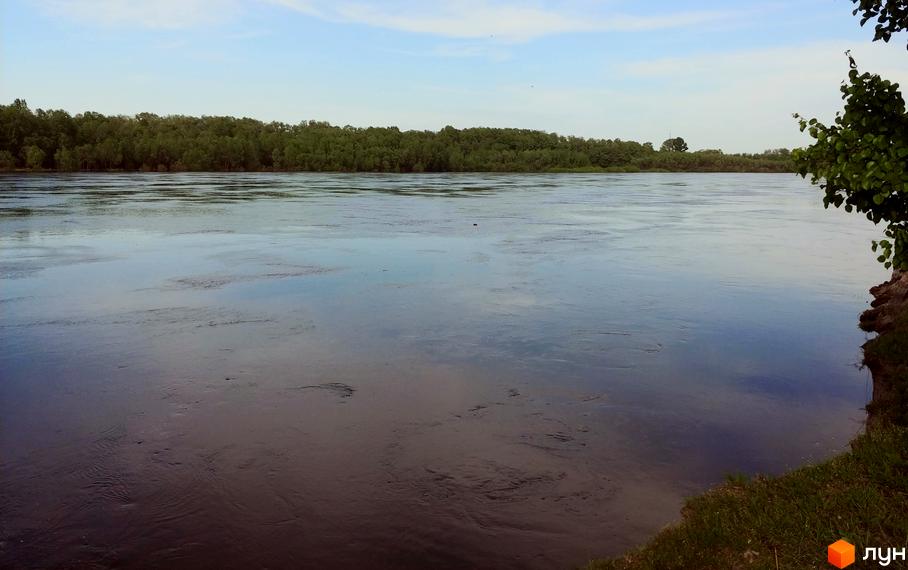 Вид на річку з берегом, вкритим травою, та зеленою лісосмугою на протилежному березі. Комплекс КМ Маєток пропонує життя біля води.