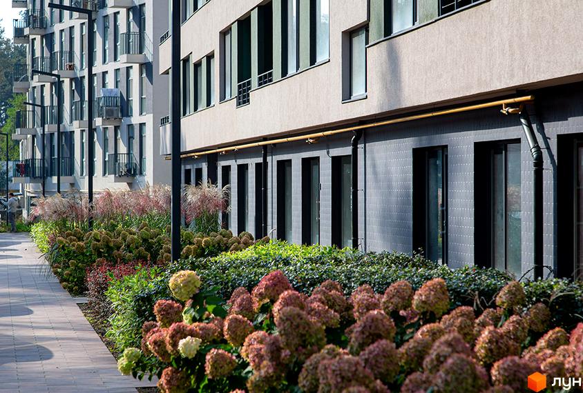 Житловий комплекс Park Town. Фасад будинку з великими вікнами та балконами. На передньому плані доглянута прибудинкова територія з рослинами та тротуаром.