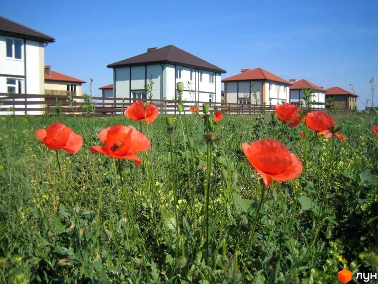 Будинки в Котеджному містечку Fresh Town з червоними маками на передньому плані. На задньому плані видно зелену траву та блакитне небо.