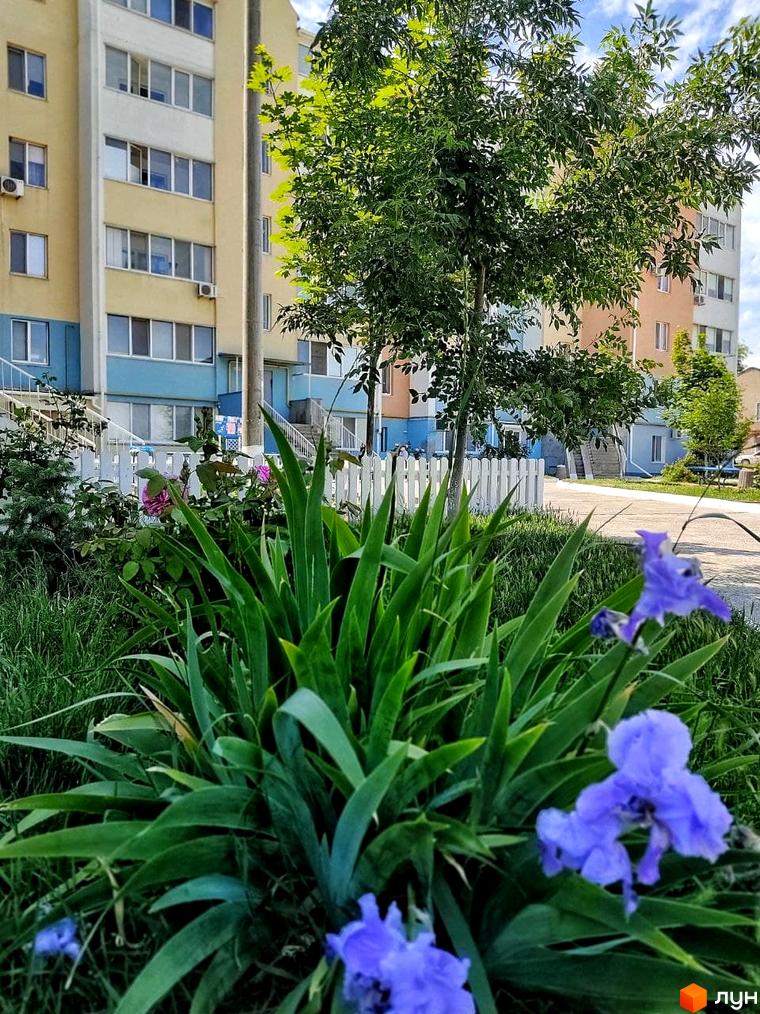 Житловий комплекс Озерки: багатоповерхові будинки з жовто-блакитним фасадом та зелені насадження з квітами. Затишна прибудинкова територія з білим парканом.