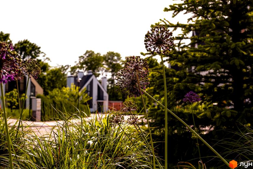 Котеджне містечко КМ VILLAGGO: сучасні будинки з трикутними дахами та зелена територія з декоративними рослинами. На передньому плані квіти цибулі та трава.