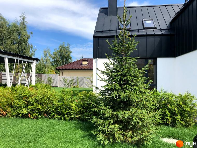 Котеджне містечко КМ Hill Park. Зовнішній вигляд будинку з чорним фасадом та прибудинкова територія з ялинкою та зеленими насадженнями.