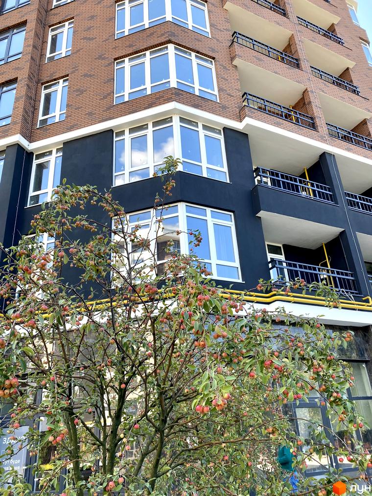 Новобудова ЖК Синергія Сіті з цегляним фасадом та балконами. На передньому плані дерево з плодами.