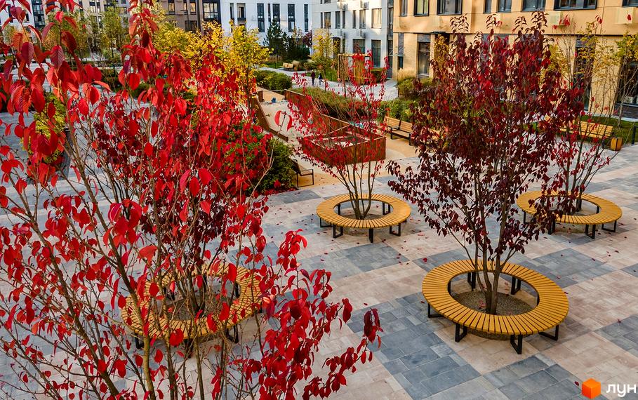 Житловий комплекс Файна Таун з червоними деревами та круглими лавками. Простора прибудинкова територія з плиткою та зеленню.