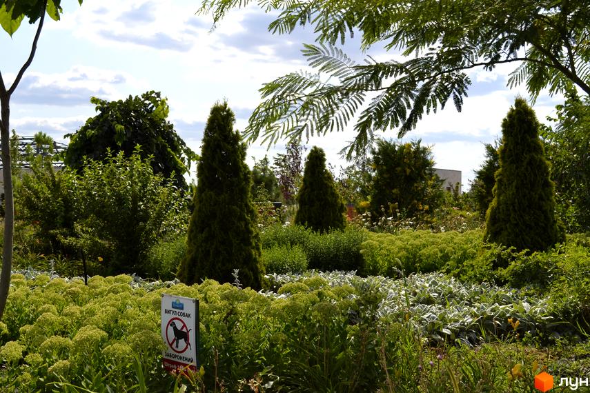 Білий будинок Котеджного містечка Дайберг оточений доглянутою прибудинковою територією з хвойними деревами, кущами та квітучими рослинами.