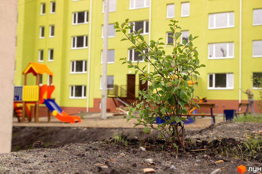 Зелений будинок ЖК на Даманському з дитячим майданчиком та деревом на передньому плані. Вид на прибудинкову територію.