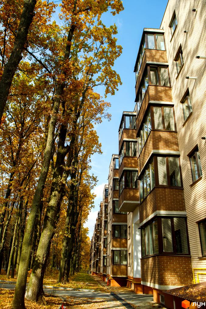 Житловий комплекс Софія: цегляний будинок з коричневими балконами та вікнами на тлі осінніх дерев. Територія комплексу вкрита опалим листям.