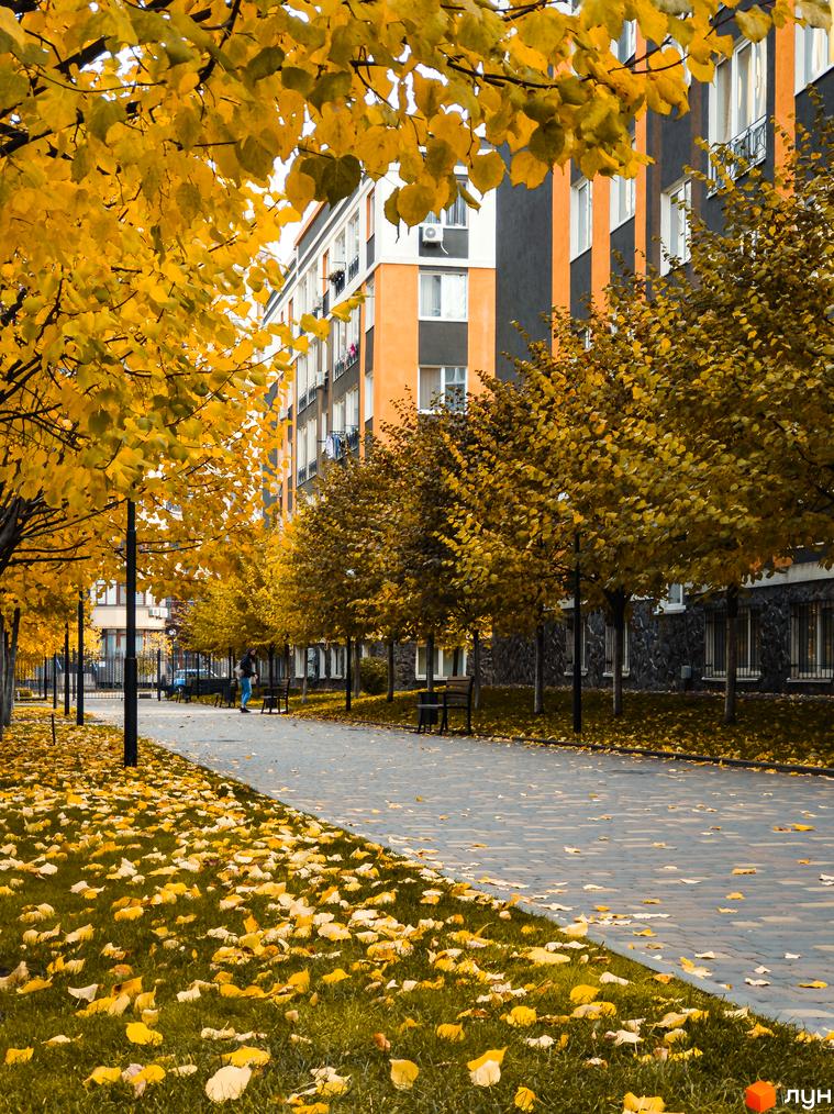 Житловий комплекс Фортуна-2 з фасадами помаранчевого та чорного кольору. На передньому плані алея з жовтим листям.