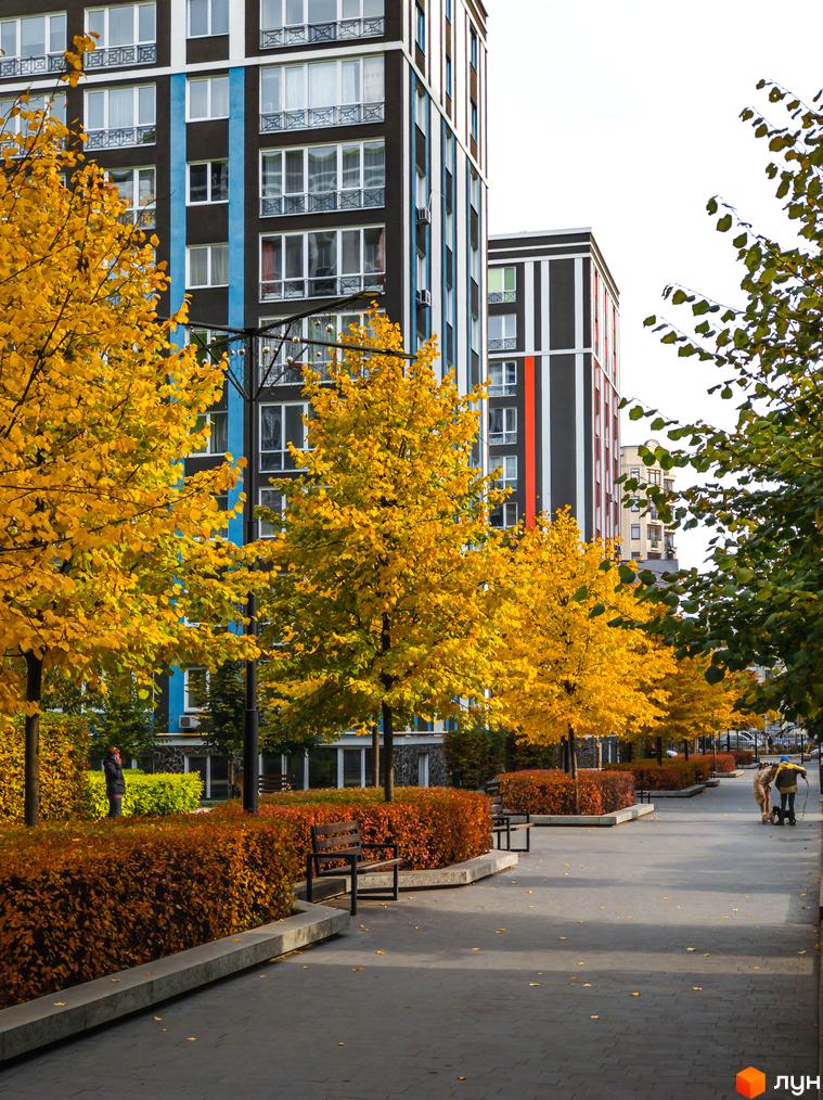 Житловий комплекс Фортуна-2. Високі будинки з темними фасадами та яскравими кольоровими вставками. Доглянута прибудинкова територія з алеєю, деревами з жовтим листям та лавками.