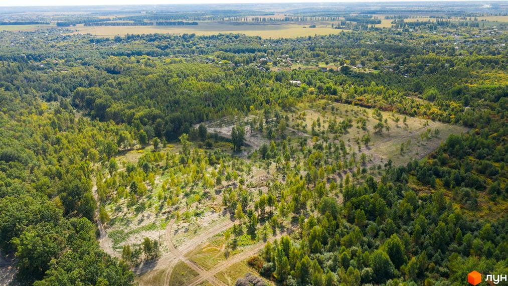 Котеджне містечко „Гетьманський 4“ оточене зеленню лісу, з відкритим простором та доріжками для прогулянок.