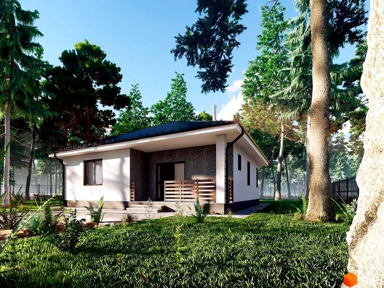 Котеджне містечко Лісовий Масив: одноповерховий будинок з білими стінами та кам'яним оздобленням фасаду, розташований серед зелених дерев та доглянутого газону.