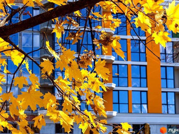 Житловий комплекс Лісова казка 2. Яскраві жовті клени на тлі сучасної новобудови з синіми вікнами та помаранчевими фасадами.