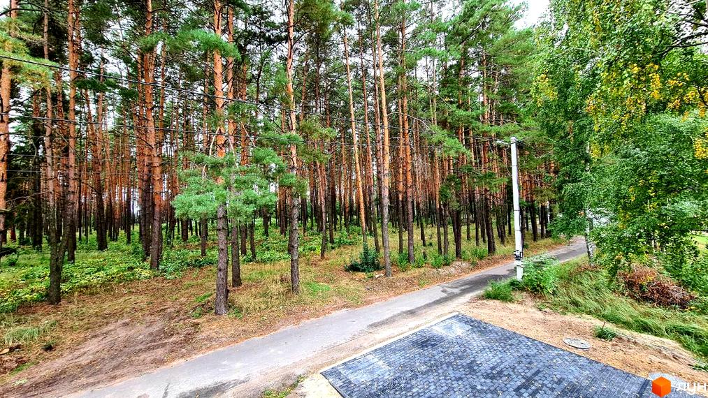 Фото Котеджного містечка ForestHouse з виглядом на ліс. Зображення дороги поруч з будинком та прибудинкової території.