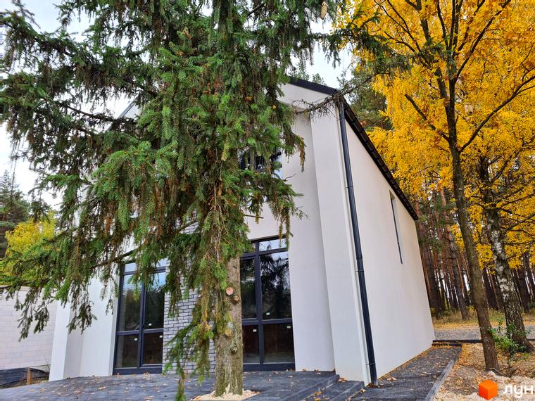 Котеджне містечко ForestHouse: білий будинок з великими темними вікнами, поруч зелені хвойні дерева та осінній ліс.