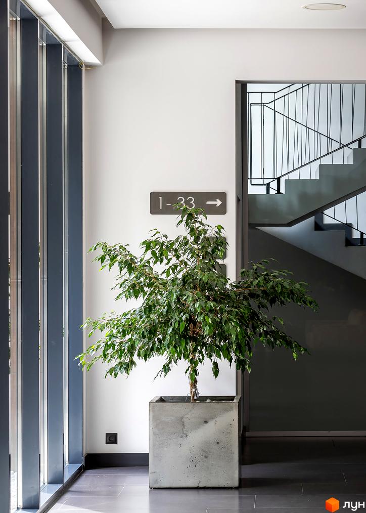 Житловий комплекс Avalon Lux: сучасний інтер'єр з кімнатною рослиною та сходами. Фотографія фасаду та прибудинкової території.
