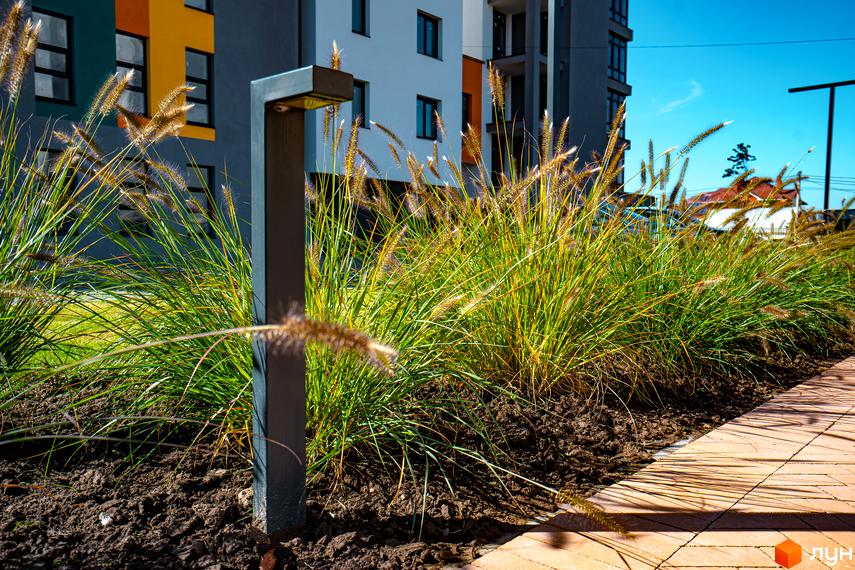 Новобудова ЖК Квартал Краківський з елементами жовтого та синього кольорів. Прибудинкова територія озеленена травою та декоративними рослинами, вимощена плиткою.