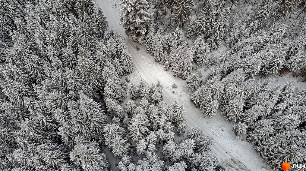 Вид зверху на Котеджне містечко SKOGUR взимку. Засніжені дерева та дорога біля котеджів.