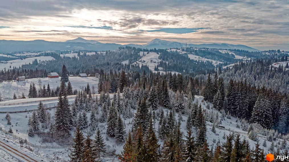 Зимовий краєвид Котеджного містечка SKOGUR з видом на засніжені гори та ліс. На передньому плані ялинки в снігу.