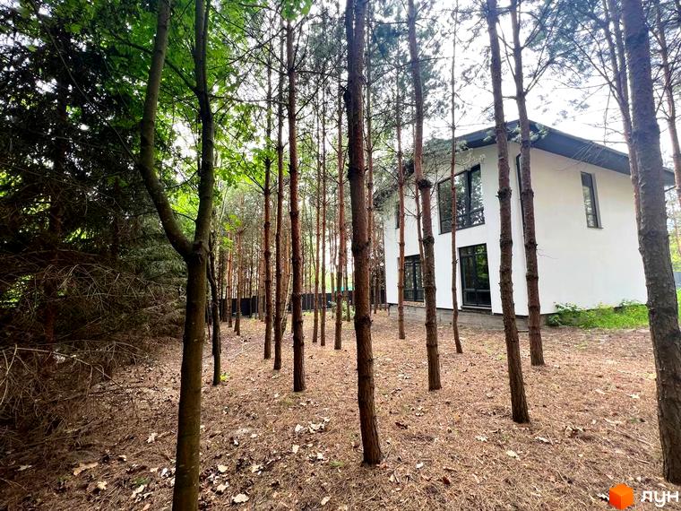 Вигляд двоповерхового будинку з великими вікнами, розташованого серед соснового лісу. Навколо будинку опале листя та хвоя.