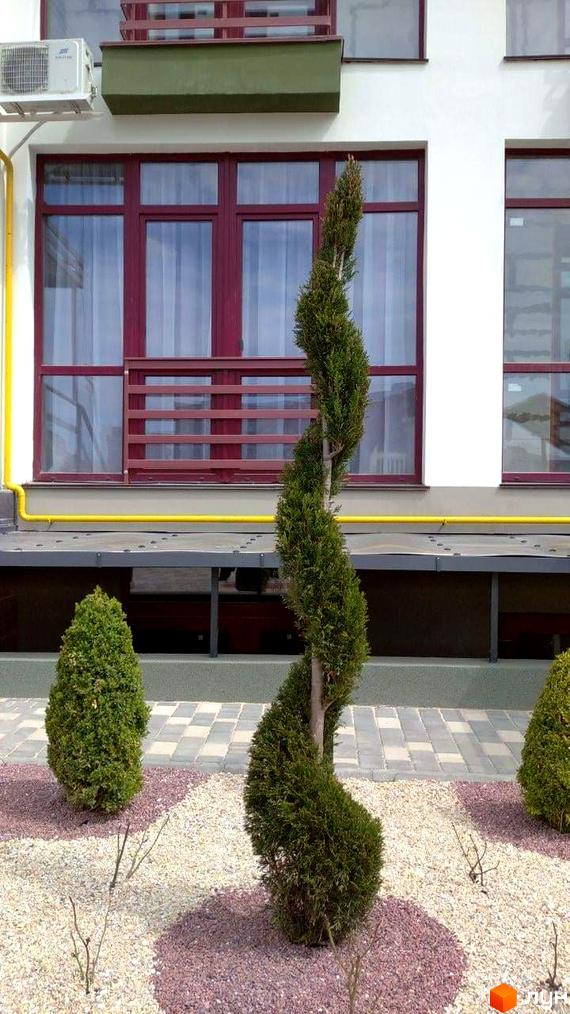 Зовнішній вигляд новобудови ЖК Smart City з червоними вікнами та зеленою клумбою, прибудинкова територія з доглянутими рослинами.