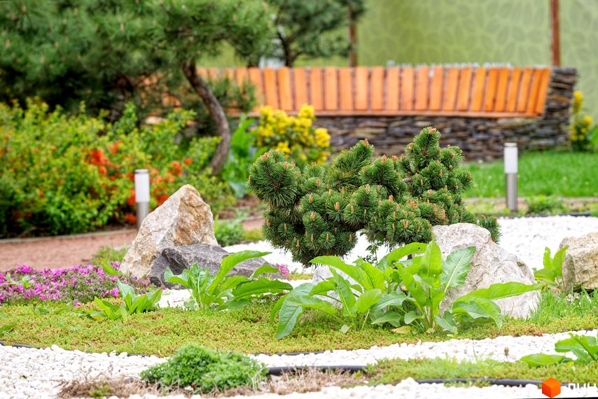 Житловий комплекс Парк Совіньйон. Доглянута прибудинкова територія з декоративними рослинами, каменями та освітленням.