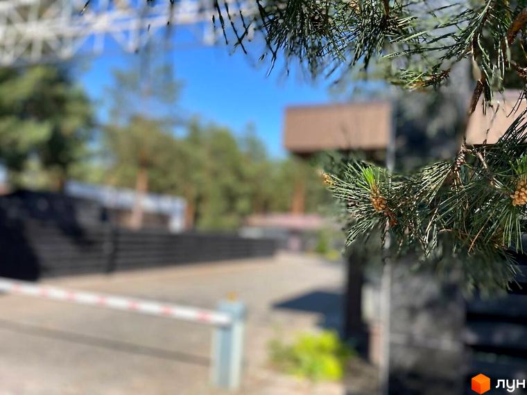 Котеджне містечко Ялинкове: зелені соснові гілки на фоні будівель та закритої території з шлагбаумом. Гарний вигляд на територію комплексу.