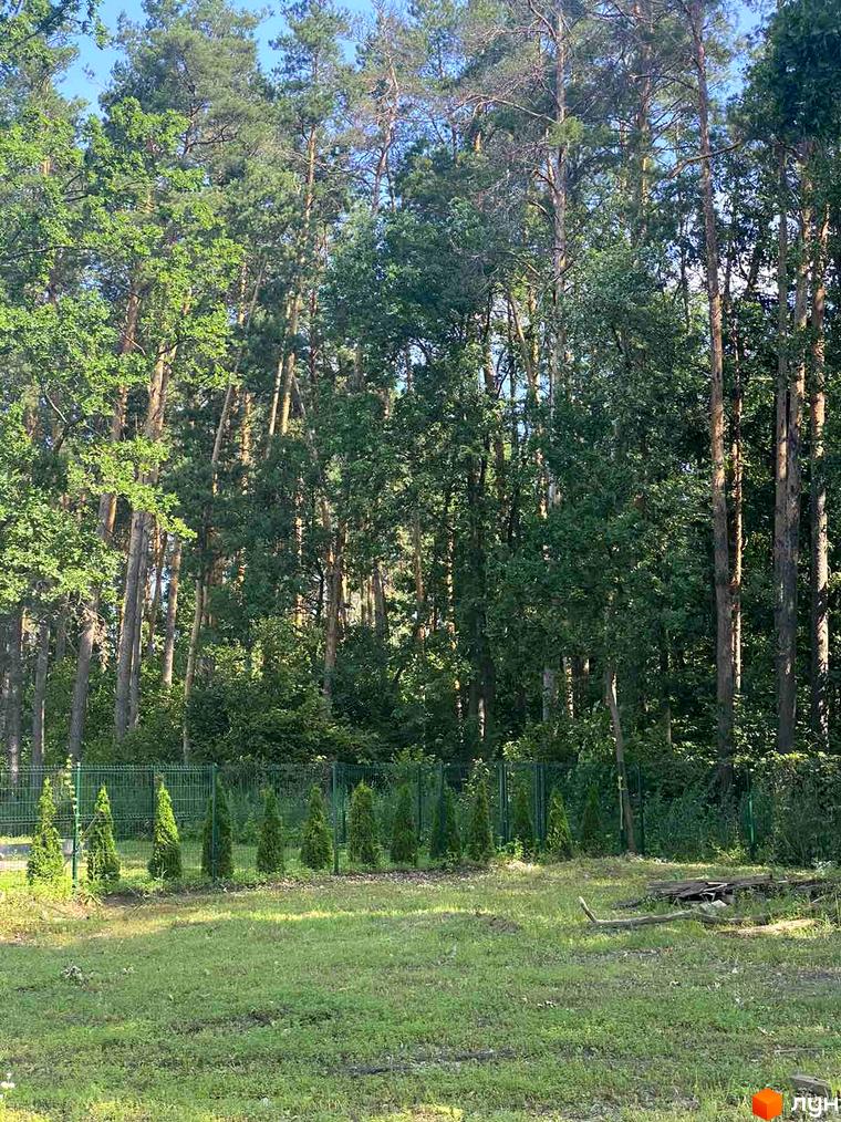 Котеджне містечко Нова Конча-Заспа CRYSTAL з акуратно висадженими туями вздовж паркану та густим лісом на задньому плані.