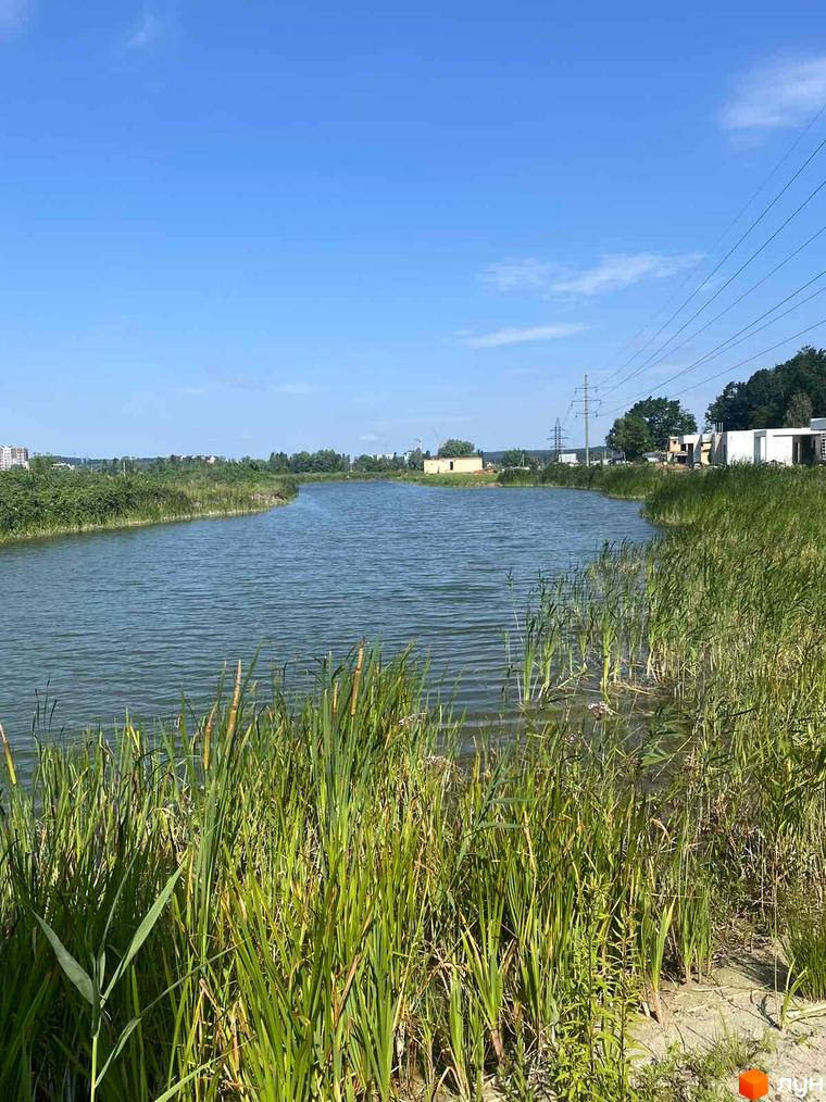 Котеджне містечко Нова Конча-Заспа CRYSTAL з мальовничим озером та зеленою територією. Навколо комплексу високі дерева та очерет.