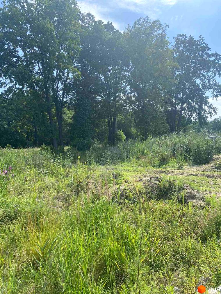 Фото Котеджного містечка Нова Конча-Заспа CRYSTAL з зеленими насадженнями. Навколо багато трави та дерев.