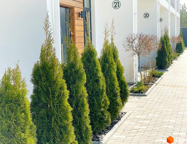 Зовнішній вигляд будинків у Котеджному містечку Prydesennya Eco Village з зеленими насадженнями вздовж тротуару.