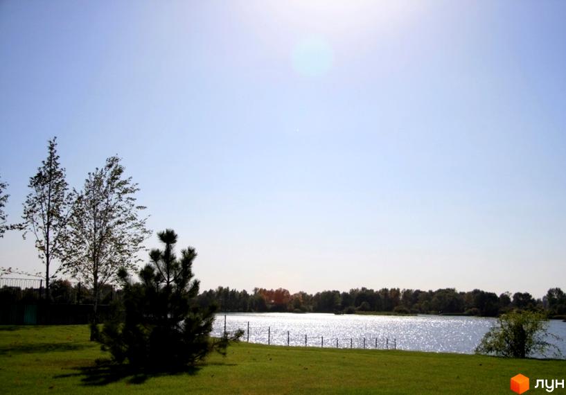 Котеджне містечко КМ Вишневе містечко. Зелена галявина з молодим сосновим деревом на фоні озера та дерев. Сонячний день.