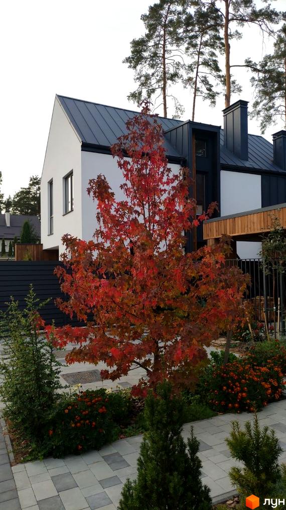 Котеджне містечко Toscana House 2 з червоним деревом на фоні білого будинку та сірого даху. Навколо будинку облаштована прибудинкова територія з зеленими насадженнями та бруківкою.