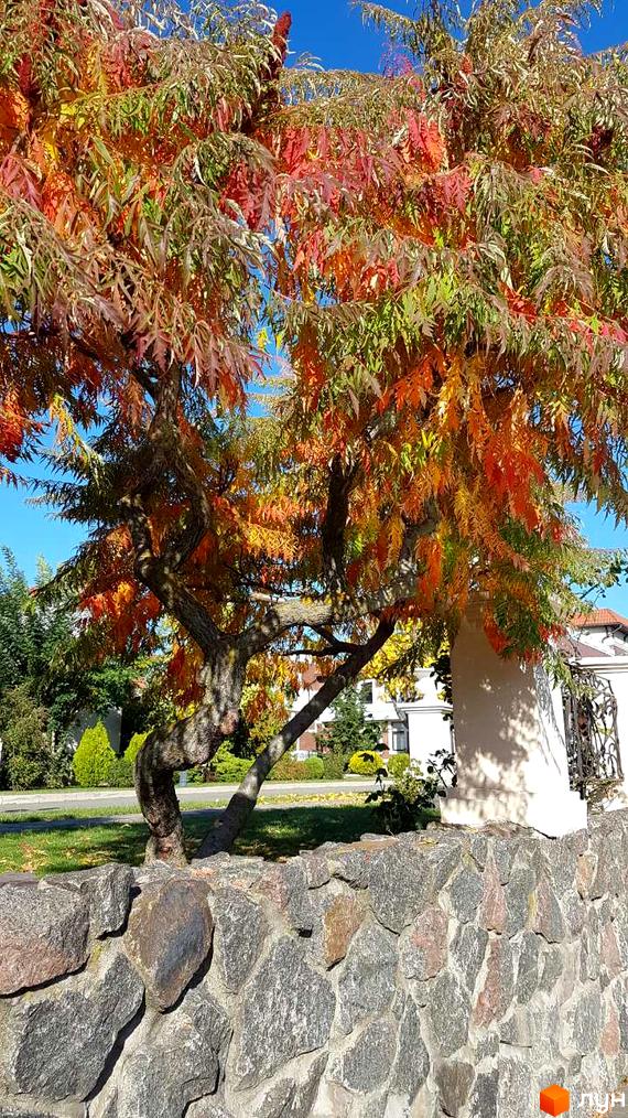 Осінній вигляд Котеджного містечка Аріадна з листям червоного, жовтого та зеленого кольорів. Кам'яна огорожа на передньому плані.