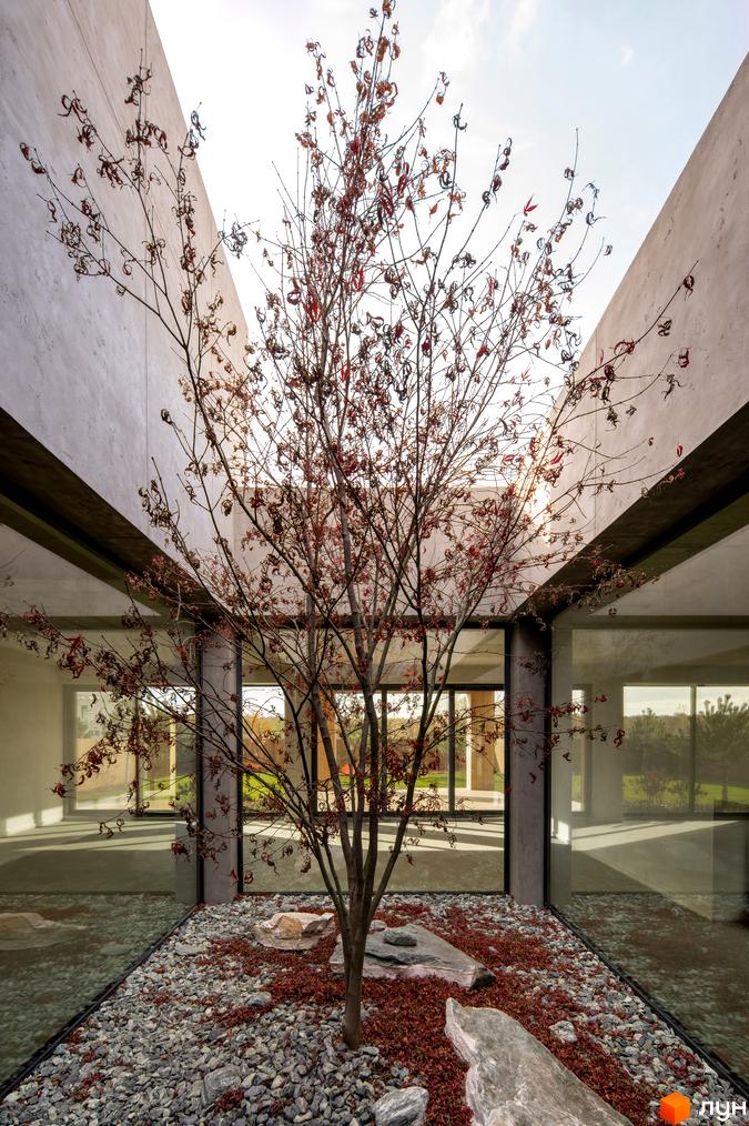 Житловий комплекс на вул. Піщана, 25а, 25б з внутрішнім двориком та деревом. Зовнішній вигляд будинку та прибудинкова територія.