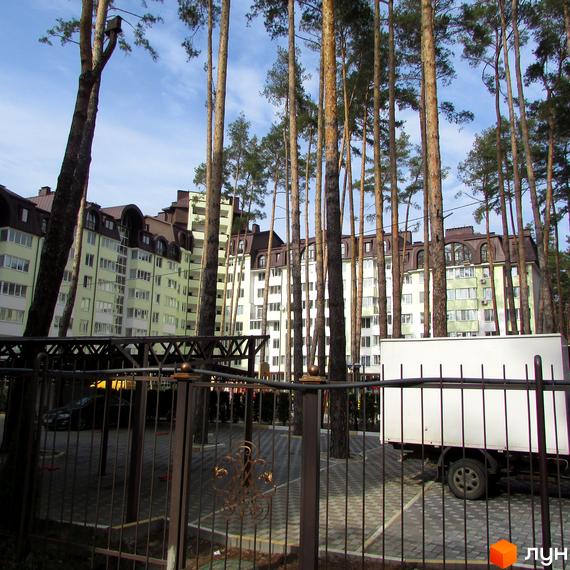 Житловий комплекс Ірпінські Липки - багатоповерхові будинки з коричневими дахами та світлими фасадами, оточені високими соснами. Прибудинкова територія з парковкою та огорожею.