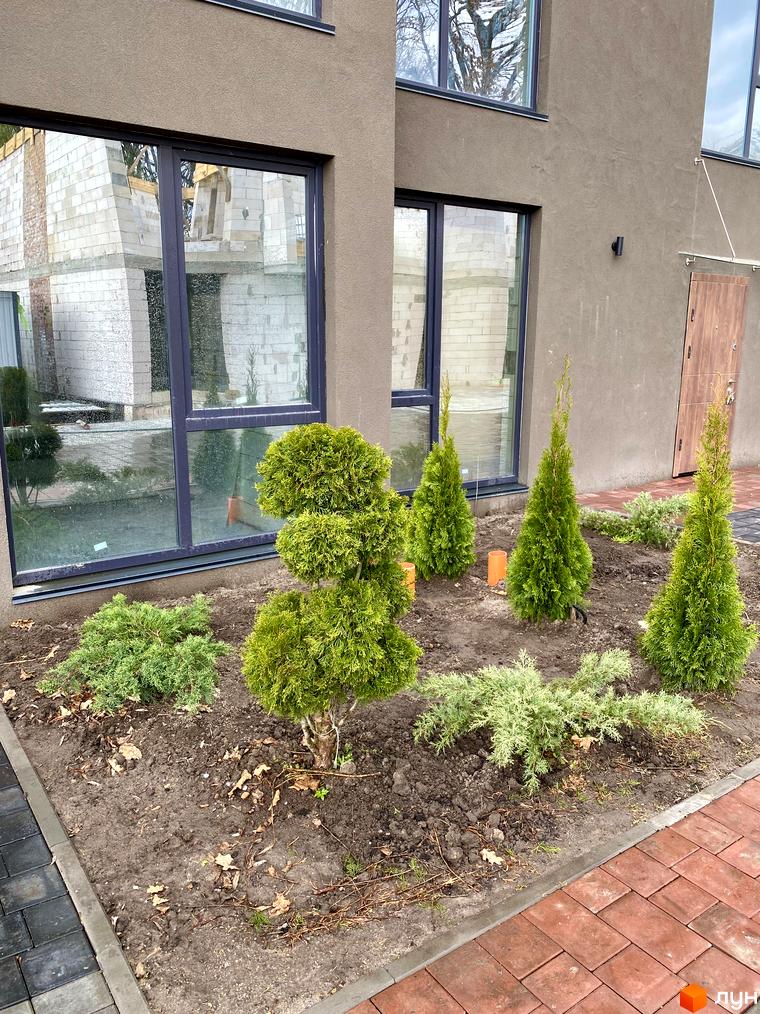 Зовнішній вигляд будинку Elwood Townhouse з великими вікнами та зеленими насадженнями біля фасаду. Територія біля будинку облаштована декоративними рослинами та бруківкою.